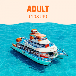 Adult Ticket