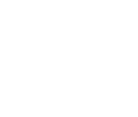 Dancer Cruise
